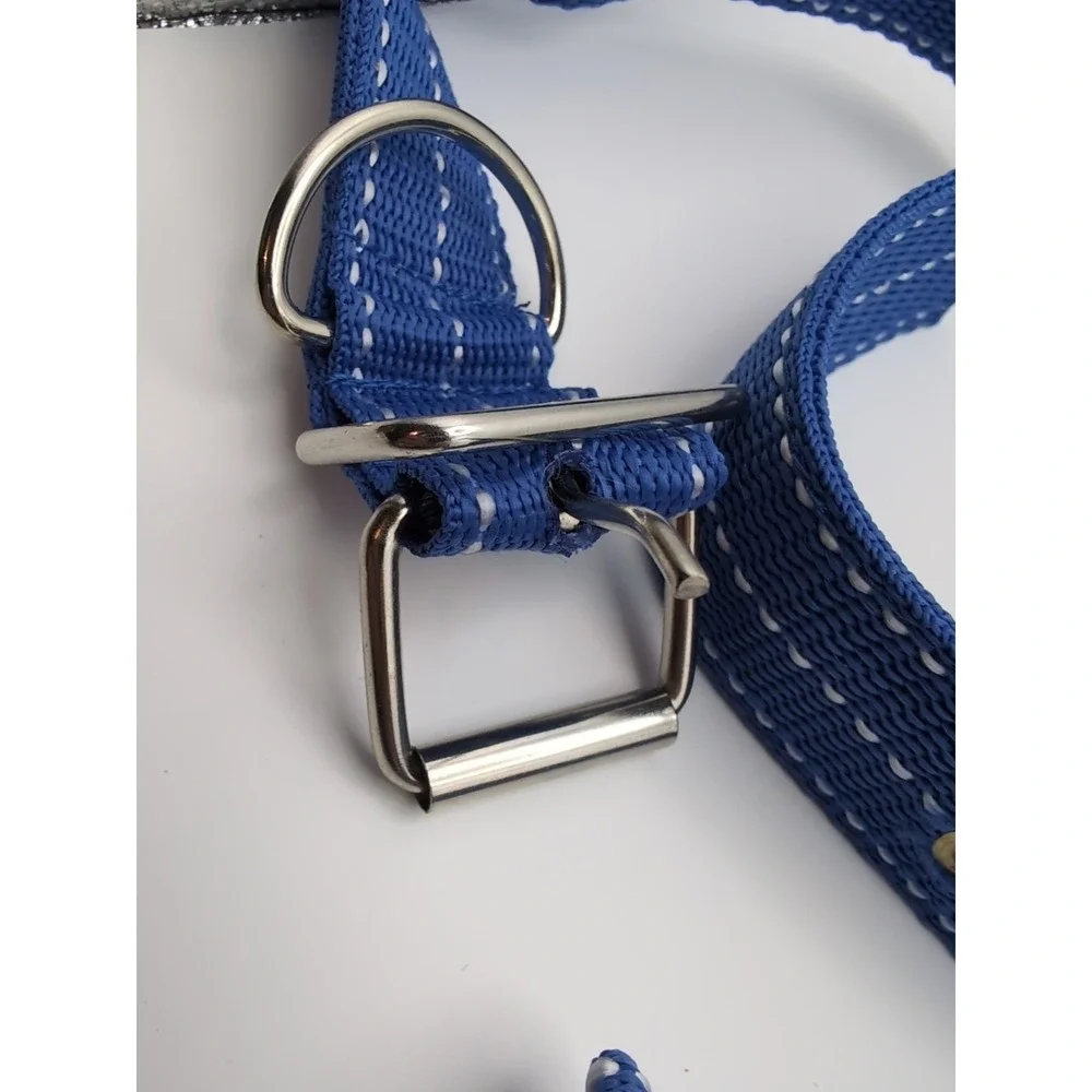 Blue dog collar 22 Inch and 5ft leash‎ set